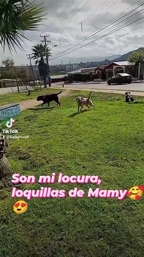 Videos de Barby69 (@barbylove9) con “sonido original - Barby69”