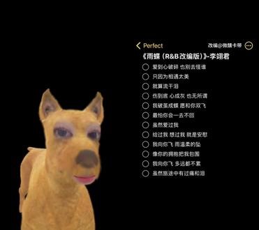 和 @Perfect. 一起 #合唱 我也来个