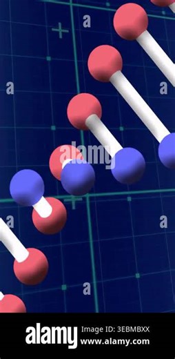 Vertical video: 3D red blue spheres drifting pairing and linking into ladder twisting into helix. Molecule, beads, connectors, spiral, grid, digital, vertical video Stock Video Footage - Alamy