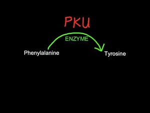 A.1.5 Explain the causes and consequences of phenylketonuria (PKU)