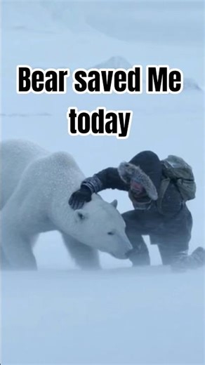 Stucked in Storm The Bear saved me #viral #trending