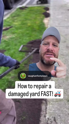Fix Your Lawn: Top Dressing for Damaged Turf