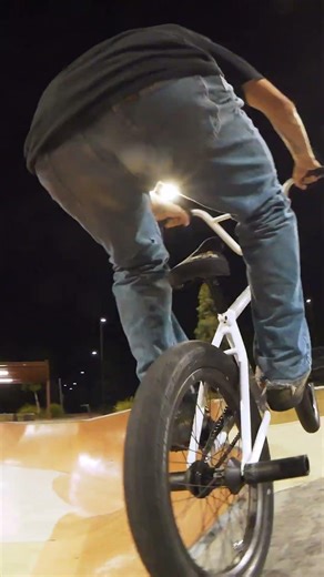 Renato 180 whip backwards manual