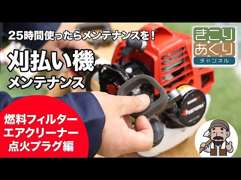 Brushcutter (grass trimmer) maintenance: fuel filter, air cleaner, spark plug