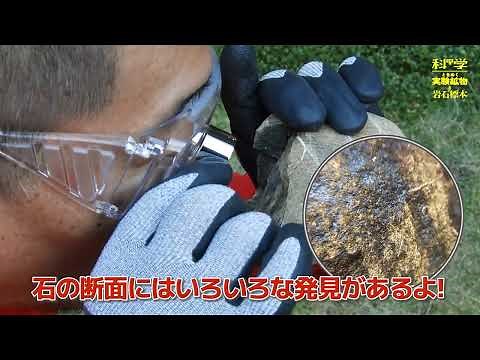 水晶を探せ！ 石を割る【学研の科学 ときめく実験鉱物と岩石標本】