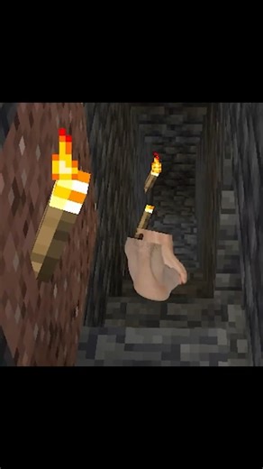 I added FEET in Minecraft #minecraftshorts #funny