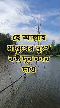 হে আল্লাহ মানুষের দুঃখ কষ্ট দূর করে দাও #shorts #youtubeshorts #trendingshorts #viral #islamicvide