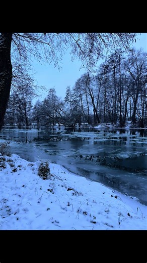 🐦📚 Blesshühner erkennt man sofort an ihrem schwarzen Gefieder und dem weißen Stirnschild. Sie leben an Seen und Teichen, sind ausgezeichnete Schwimmer und können sogar kurze Strecken übers Wasser „rennen“. Trotz ihres ruhigen Aussehens sind sie sehr territorial und verteidigen ihr Revier energisch. 👉 Hast du sie schon mal beobachtet? - #blesshuhn #eisscholle #fluss