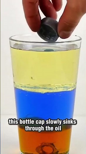 Why Objects Float or Sink — A Simple Density Experiment Explained