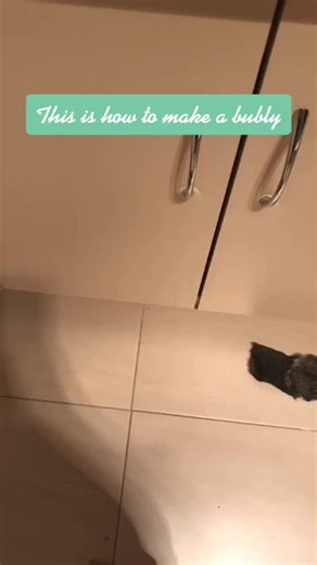 Oof I said draw#bubly#comedy#funny#nohateplease (don’t forget to name it)😉