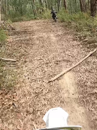 Exploring Off-Road Adventures on Dirt Bikes