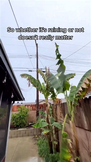 Approved meter loaction allow us to do our own Disconnect⧸Reconnect. ... | DIY Electrical Wiring | Facebook