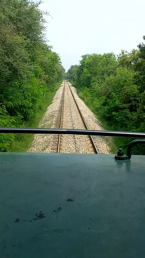 10K views · 305 reactions | Live train driver view from front train passing through green jungle in mountains #jungle#shorts#live#reelsfb#train | Trains And Tracks | Facebook