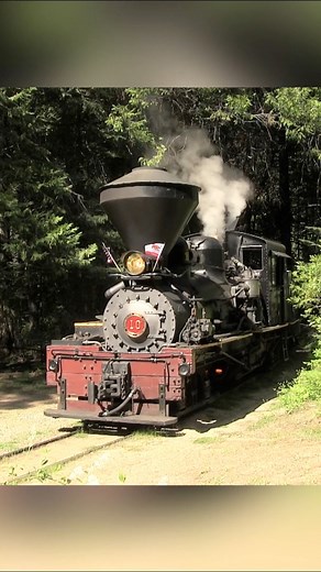 The Yosemite Mountain Sugar Pine Railroad takes guests on a steam train ride back in time. Located off of California Highway 41 in Fish Camp, the railroad is just south of Yosemite National Park and makes for a fantastic side adventure. Vintage “Shay” type logging locomotives that date back to the early 1900s pull riders through groves of sugar pine and incense cedar trees as the train’s conductor provides a vibrant narrative about the region and its logging railroads of yesteryear. The Sugar Pi
