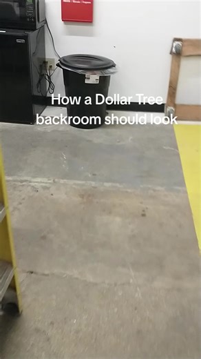 Inside a Dollar Tree Backroom on My Last Day