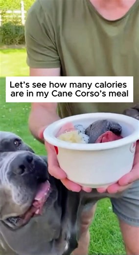 John uses PetCal AI: Pet Calorie & Weight Tracker to keep track of his dog’s meals and weight 💪🏻