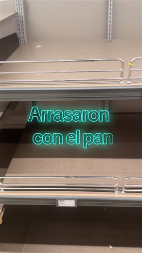 Aldi y la Tormenta Invernal en Greenville SC