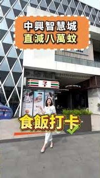 中興智慧城 | 直減八萬蚊 | 风水园林 | 送家電十件套