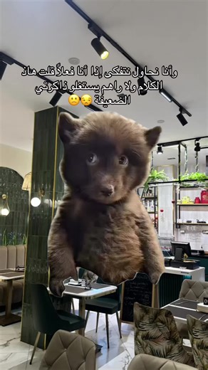 Exploring the Limits of Memory in Real Life