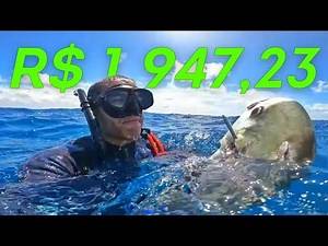 HOW MUCH DOES A FISH COST THAT YOU CAN'T EVEN LIFT?! Deep-sea spearfishing