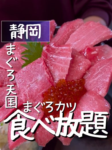 【マグロ天国！マグロのカツ食べ放題も魅力】 水揚げ量一位の静岡だからこそ 高クオリティをこの値段で 食べれるのが魅力。 ちなみに、 世界中の海で漁獲されたマグロが 冷凍運搬船によって 清水港に運ばれるんだって。 2019年には水揚げ量 全国1位になったんだとか。 だからこそ安く、 質の高いマグロが食べれるらしい。 一度はぜひ食べてみてほしい〜〜！ 📍まぐろ王国 大ちゃん 本まぐろ中トロ丼と手打ち蕎麦専門店 【住所】静岡県静岡市清水区島崎町149 まぐろ館 1F 【営業時間】月火木金 10:30~15:00 土日祝10:00~17:00 【定休日】水曜 【駐車場】あり 【予約】不可 【支払い方法】paypay可 【今回食べたもの】 ★特上本マグロ中トロ丼¥2480 ★まぐろ三種丼(本まぐろ中トロ、赤身、ビントロ)¥2280 ❀トロマグロかつ・キャベツ食べ放題付き 【アクセス】 🚃清水駅みなと口から徒歩約5分 🚗１.清水ICより国道1号線に入る ２.国道1号線を東京方面へ進む ３.庵原(交差点)を右折して 県道338号 に入る ４.T字路の交差点(袖師)までしばらく直進 ５.袖師(交