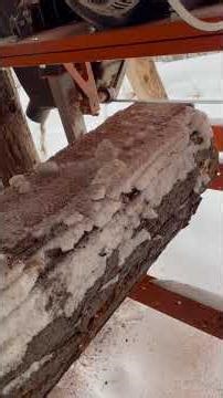 Band saw mill. Red pine