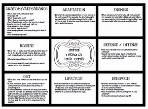 How to write an Informative Text
