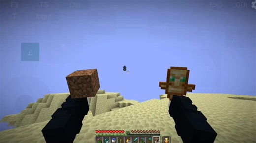 How to Get Elytra in Minecraft Java Edition