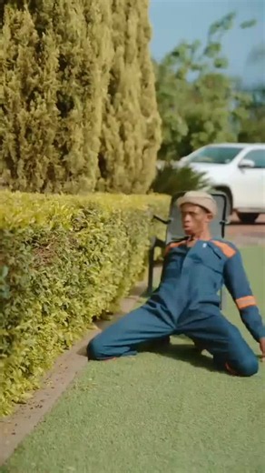 What is Wozo Clozo? The William Last KRM Trend Explained