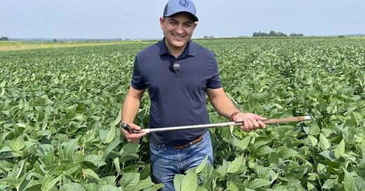 Soybean School: Soil testing for cyst nematode