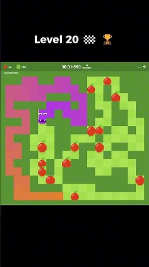 Player Beats Level 20 After Hours of Trying !!