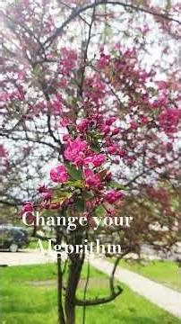 Change your Algorithm