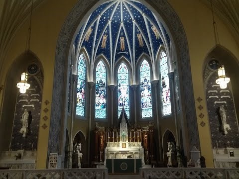 Fundamentals of Catholic Morality - The Morality of the Passions