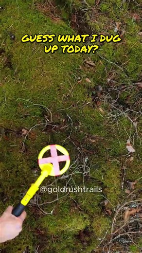 Metal Detecting Treasure Hunts and Beach Finds