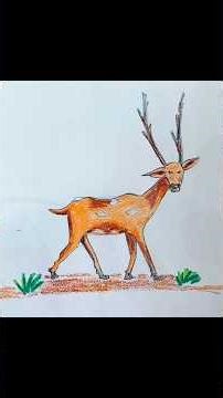 How To Draw A DEER | Realistic Drawing Tutorial #shortsvideo #vairalshort #vairal