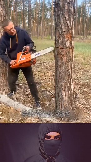 155K views · 543 reactions | The right way to cut a dry tree.। 4k video। #tree #facts #facebookreel | FactPulse | Facebook