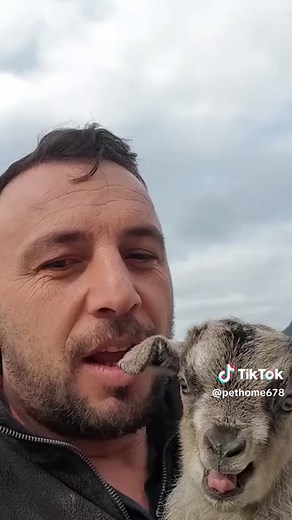 Baby Goat Bleating Sound – Cute Little Goat Bleat Close Up