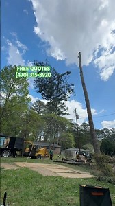 Tree Service