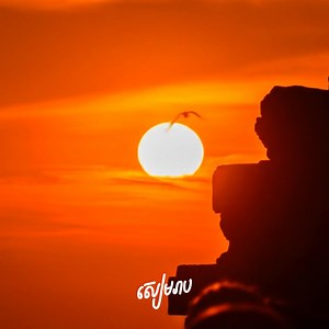 Go Global TV on Reels