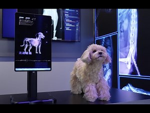 CES 2025 Highlights: AI, Digital Health, Mobility & Future Tech Innovations