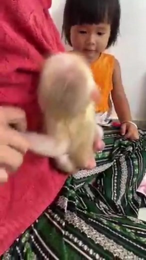 Tài khoản được đề xuất