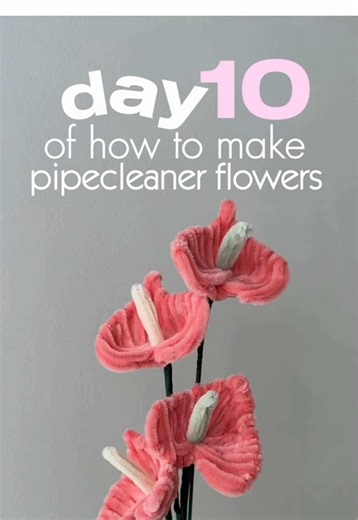 day 10 of how to make pipecleaner flowers | anthurium pipecleaner flower tutorial - this is day 10 of 12 of the mini flower tutorial series !! many people have been asking for this but guys, this is lowkey an advanced flower so if you fail the first few times it’s okay just rewatch and keep practicing 🥰 took me a few tries to perfect it too - 💌 dm for enquiries 📍 london only - #diy #pipecleaners #pipecleanerflowers #fyppp #fuzzywire - other key words 🏷️ | best gifts london, flowers london, b