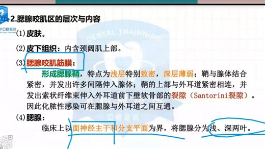 口腔解剖生理学 精讲 第十讲1颌面部解剖