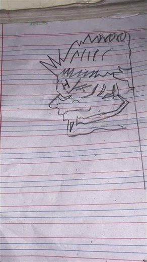 Skuna drawing ￼