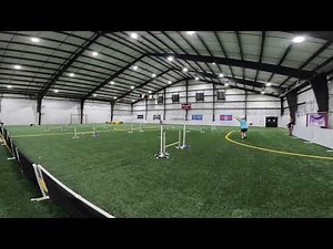 Inspire Bonus Jumpers Balloon Dog Agility