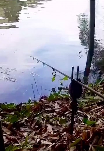 Fishing Techniques: Serenity at the Lake