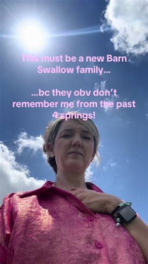 We’ve hosted a barn swallow family each spring in our back porch. They have NEVER been aggressive, until now. lol. I was at least 30 feet awwat from our porch and they were out to get me! Enjoy the video 🤪 #barnswallownest #barnswallow #birdattack #divebomb