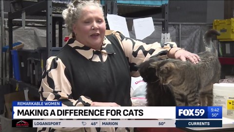 Remarkable Women: Indianapolis woman working to save local cats, fight animal overpopulation