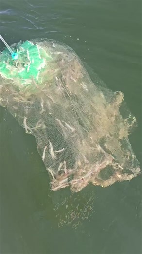 Inlet Rocks Bait and Tackle (@inletrocksbaitandtackle)’s videos with original sound - Inlet Rocks Bait and Tackle