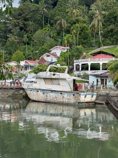 Bethany Hamilton on Reels